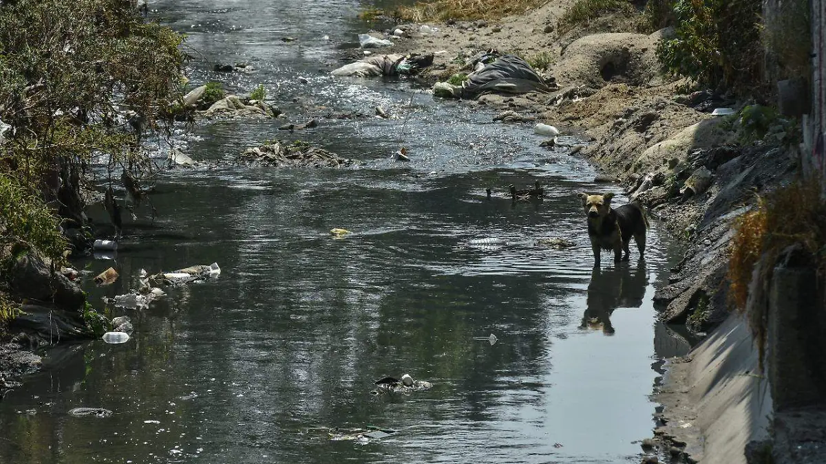 rio verdiguel